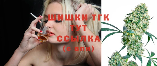 соль ск Осинники