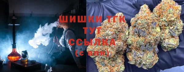 соль ск Осинники