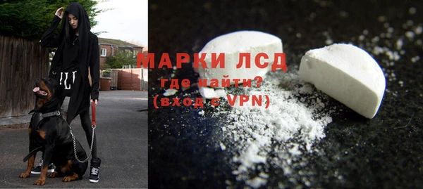 соль ск Осинники