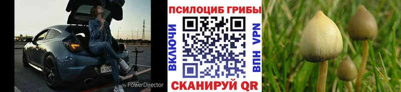 Псилоцибиновые грибы мухоморы  Петровск 