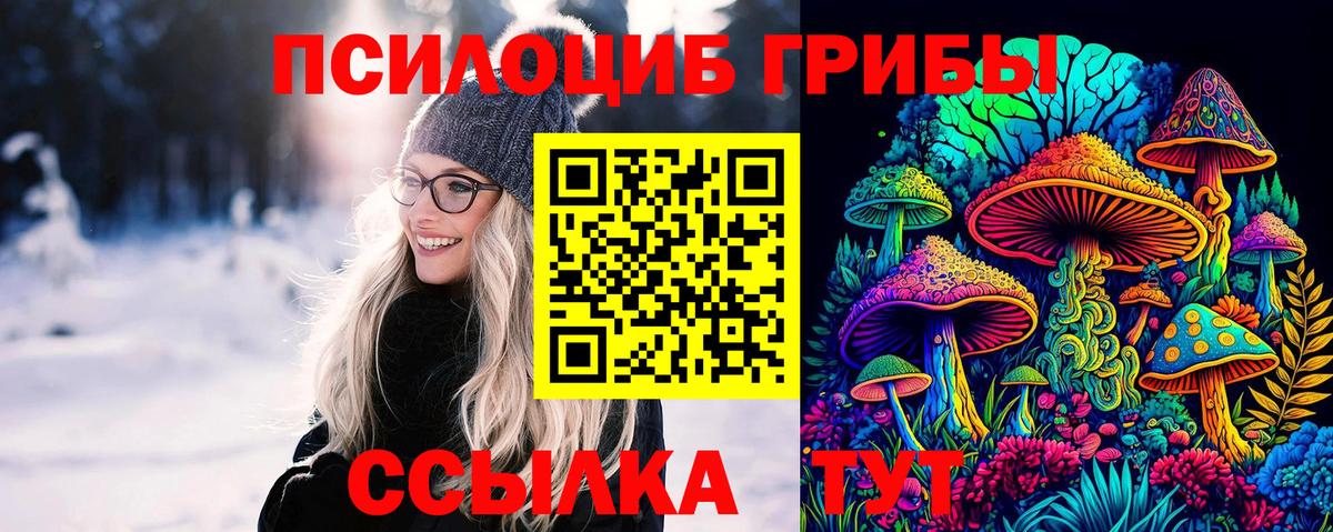 Петровск  Галлюциногенные грибы Psilocybe  Вход с VPN 