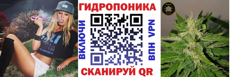 кракен онион Петровск Каннабис OG Kush